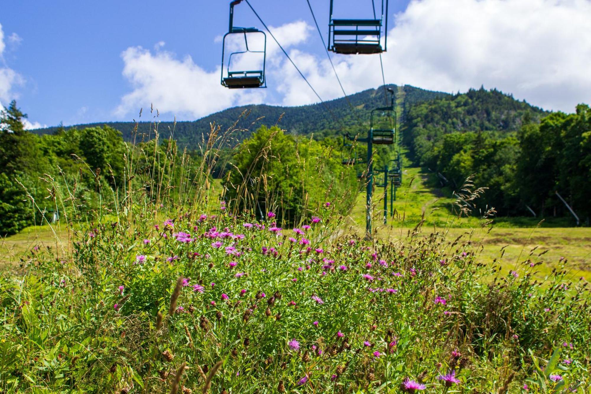 Smugglers' Notch Resort Private Suites Cambridge Екстериор снимка